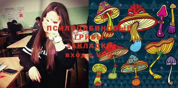 a pvp Богородицк
