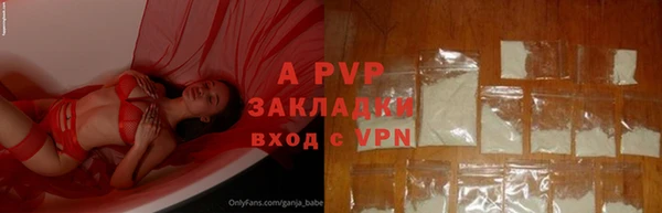 a pvp Богородицк