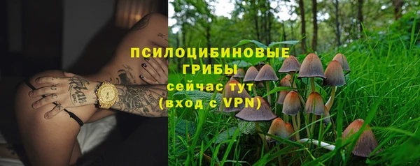 СК Богородск