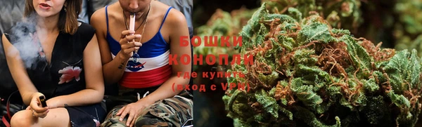 СК Богородск